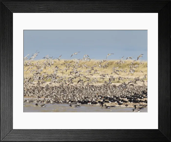 Framed Print : Picture No. 12010402 Framed Print : Picture No. 12010402