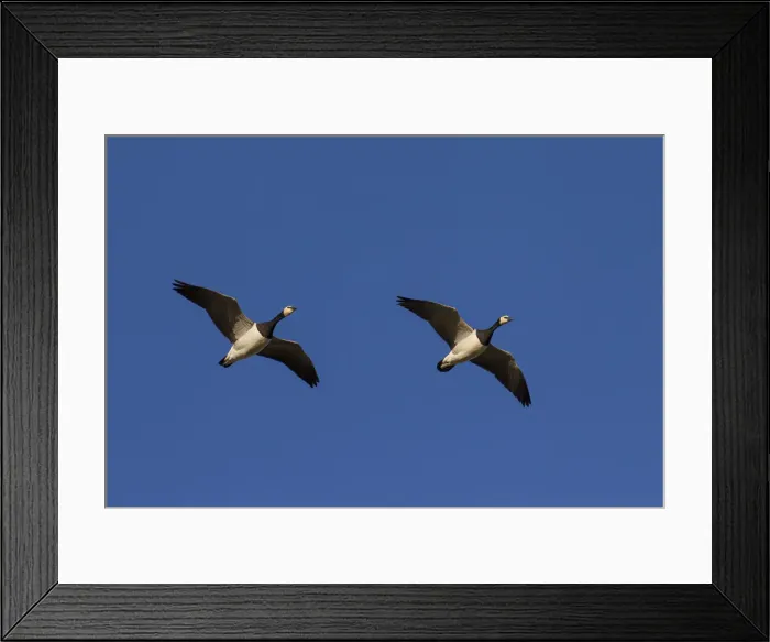 Framed Print : Picture No. 12010406 Framed Print : Picture No. 12010406