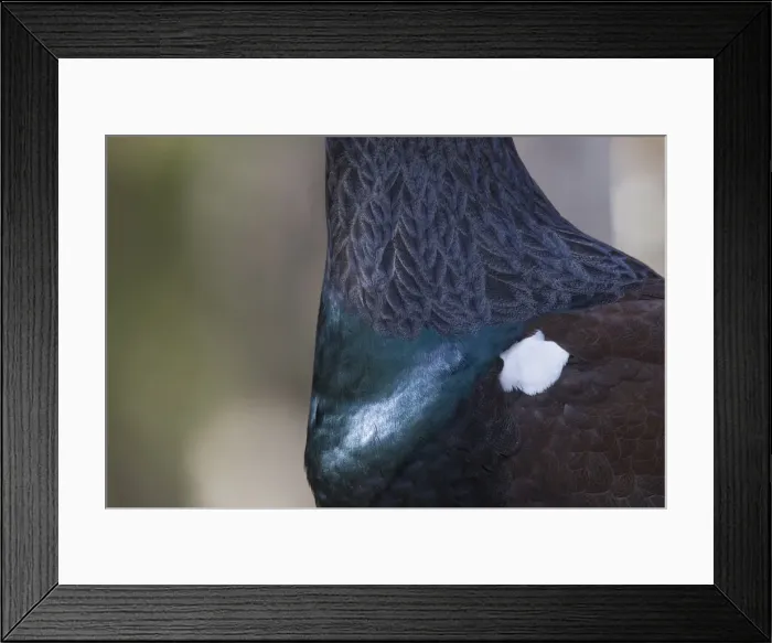 Framed Print : Picture No. 12010412 Framed Print : Picture No. 12010412