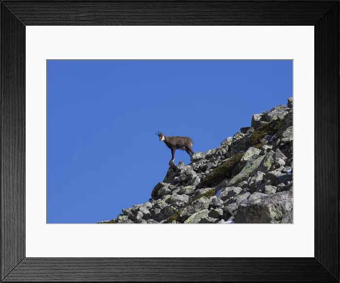 Framed Print : Picture No. 12010429 Framed Print : Picture No. 12010429