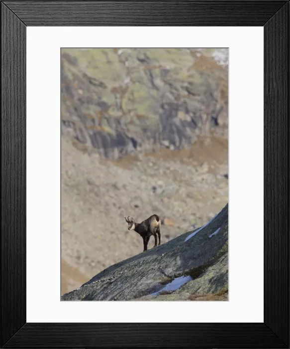 Framed Print : Picture No. 12010431 Framed Print : Picture No. 12010431