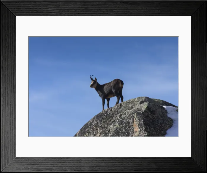 Framed Print : Picture No. 12010450 Framed Print : Picture No. 12010450