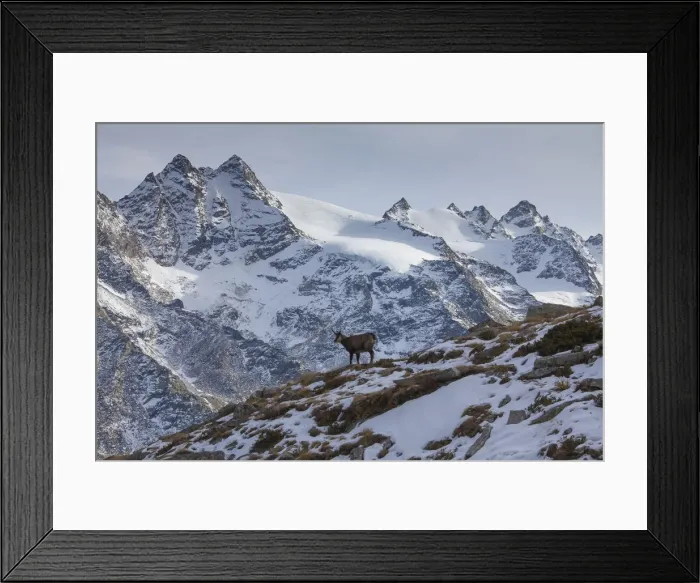 Framed Print : Picture No. 12010451 Framed Print : Picture No. 12010451