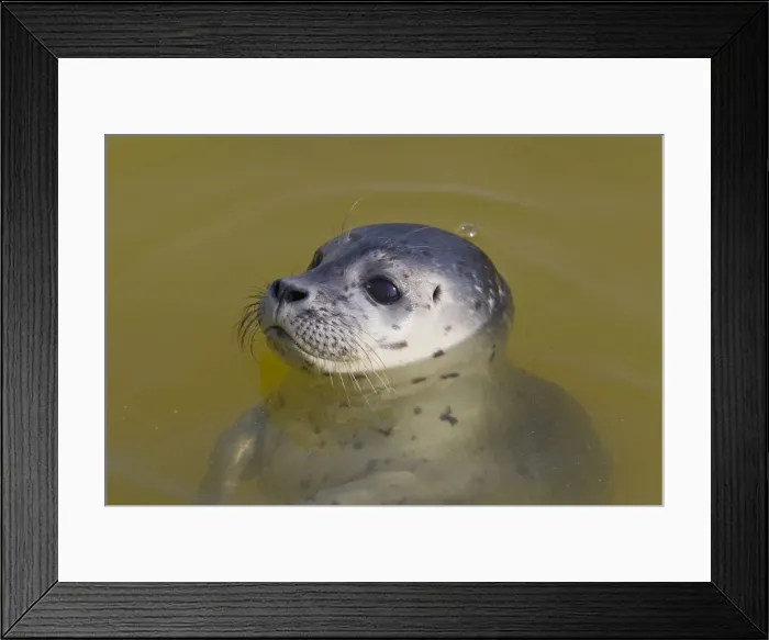 Framed Print : Picture No. 12010455 Framed Print : Picture No. 12010455