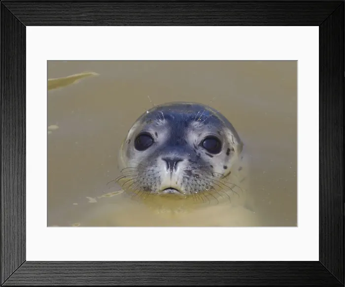 Framed Print : Picture No. 12010456 Framed Print : Picture No. 12010456