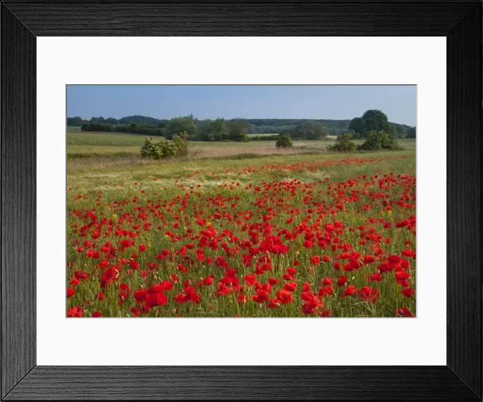 Framed Print : Picture No. 12010463 Framed Print : Picture No. 12010463