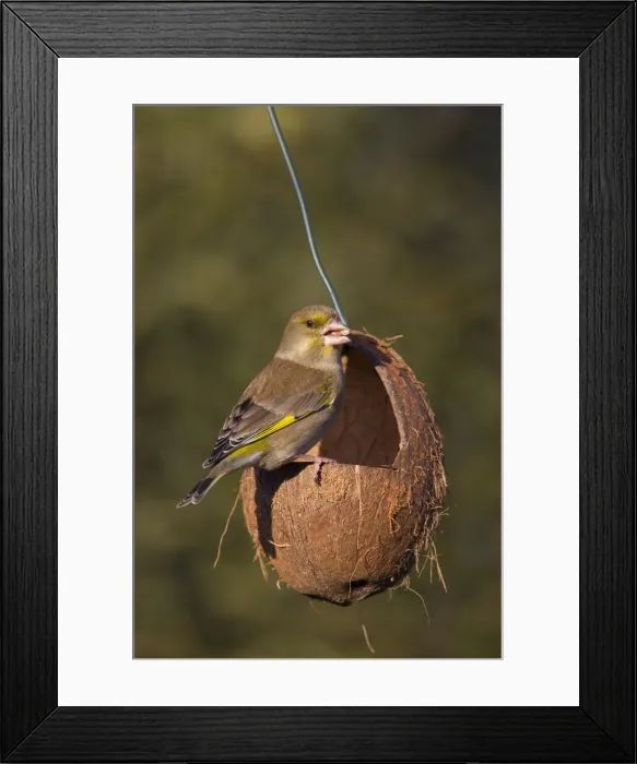 Framed Print : Picture No. 12010502 Framed Print : Picture No. 12010502