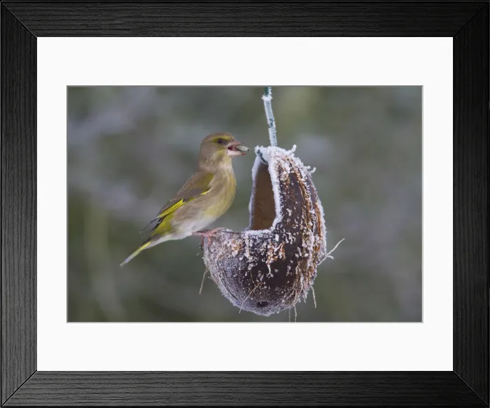 Framed Print : Picture No. 12010503 Framed Print : Picture No. 12010503