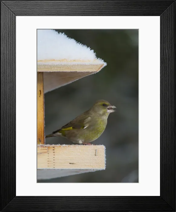 Framed Print : Picture No. 12010504 Framed Print : Picture No. 12010504