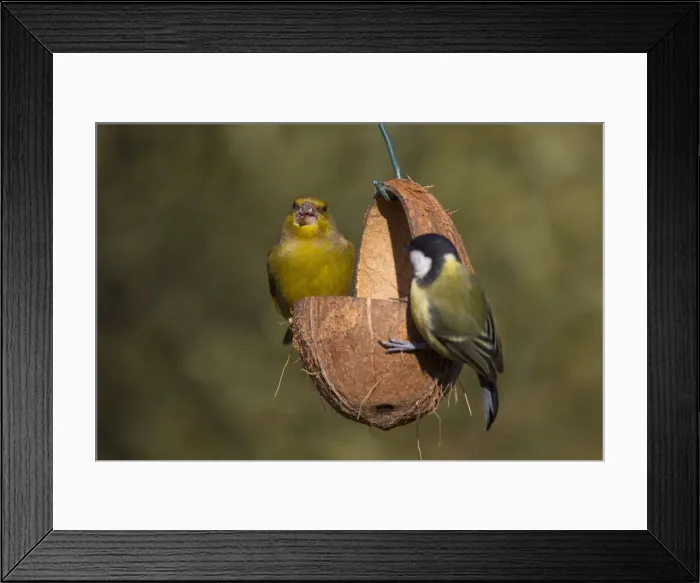 Framed Print : Picture No. 12010505 Framed Print : Picture No. 12010505