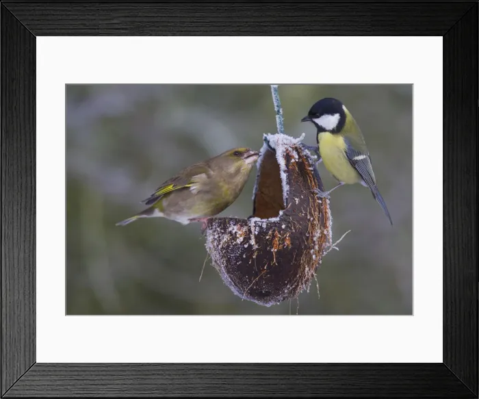 Framed Print : Picture No. 12010506 Framed Print : Picture No. 12010506