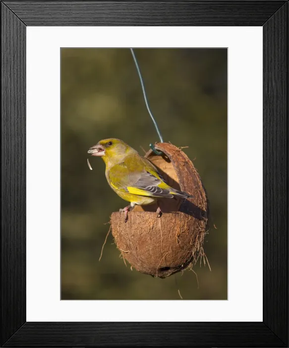 Framed Print : Picture No. 12010507 Framed Print : Picture No. 12010507
