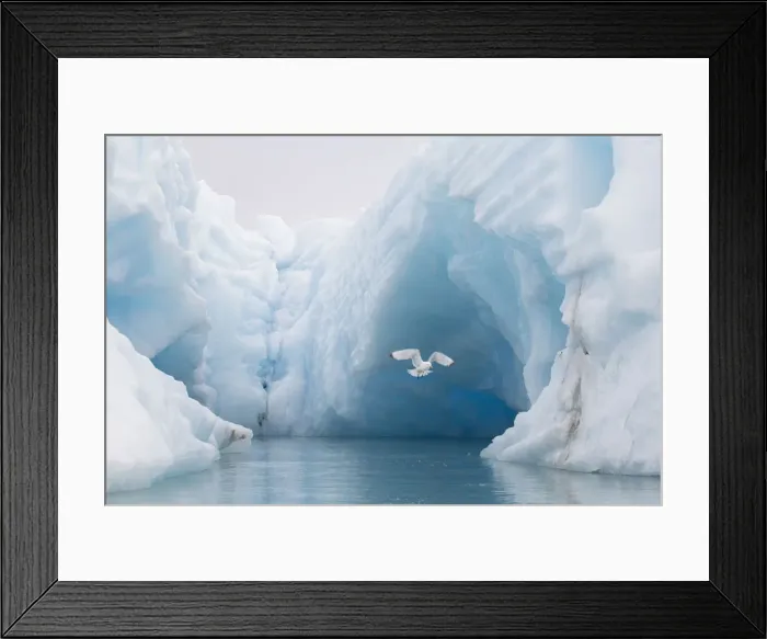 Framed Print : Picture No. 12010514 Framed Print : Picture No. 12010514