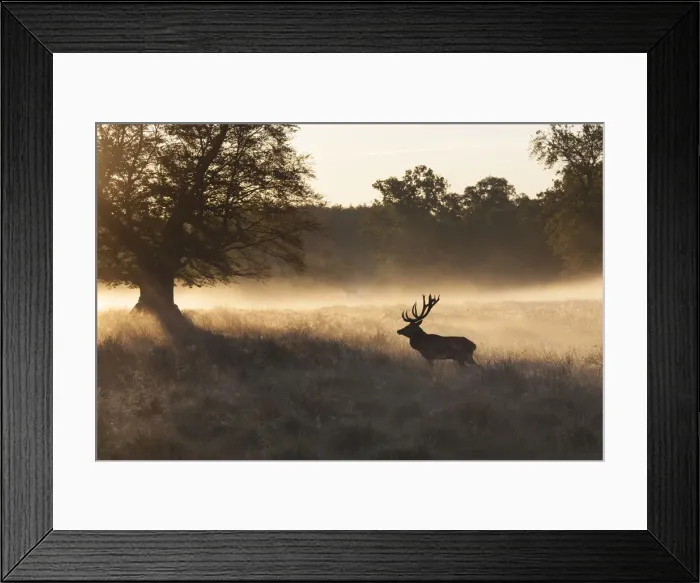 Framed Print : Picture No. 12010525 Framed Print : Picture No. 12010525