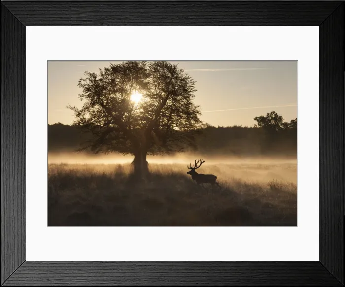 Framed Print : Picture No. 12010526 Framed Print : Picture No. 12010526