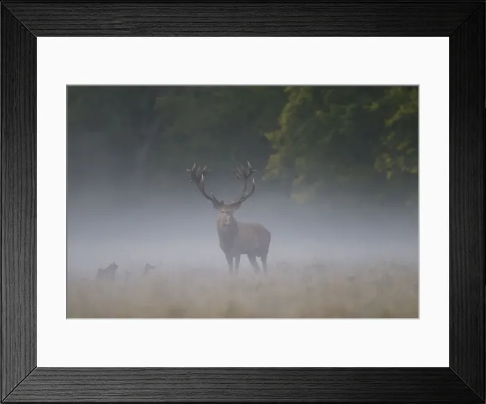 Framed Print : Picture No. 12010528 Framed Print : Picture No. 12010528