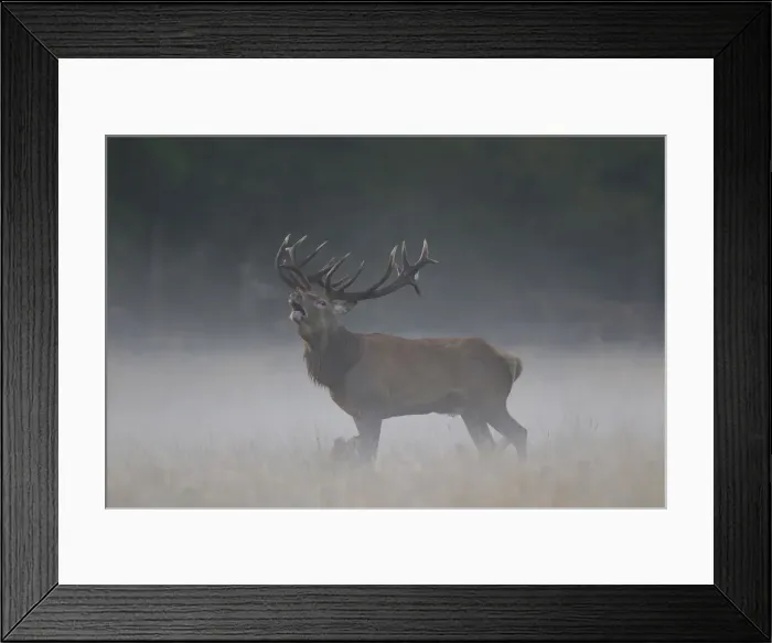 Framed Print : Picture No. 12010530 Framed Print : Picture No. 12010530