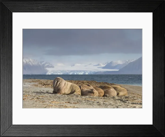 Framed Print : Picture No. 12010553 Framed Print : Picture No. 12010553