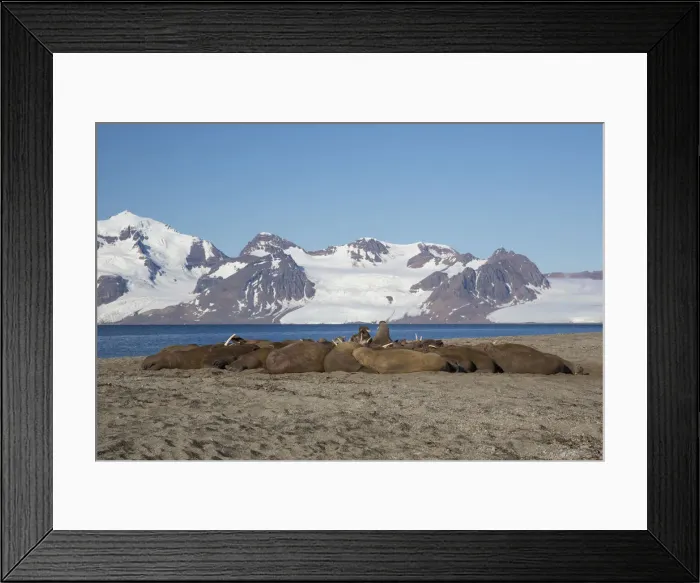 Framed Print : Picture No. 12010555 Framed Print : Picture No. 12010555