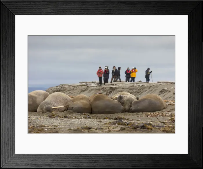 Framed Print : Picture No. 12010575 Framed Print : Picture No. 12010575