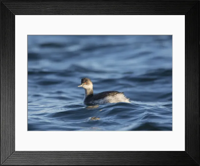 Framed Print : Picture No. 12010786 Framed Print : Picture No. 12010786