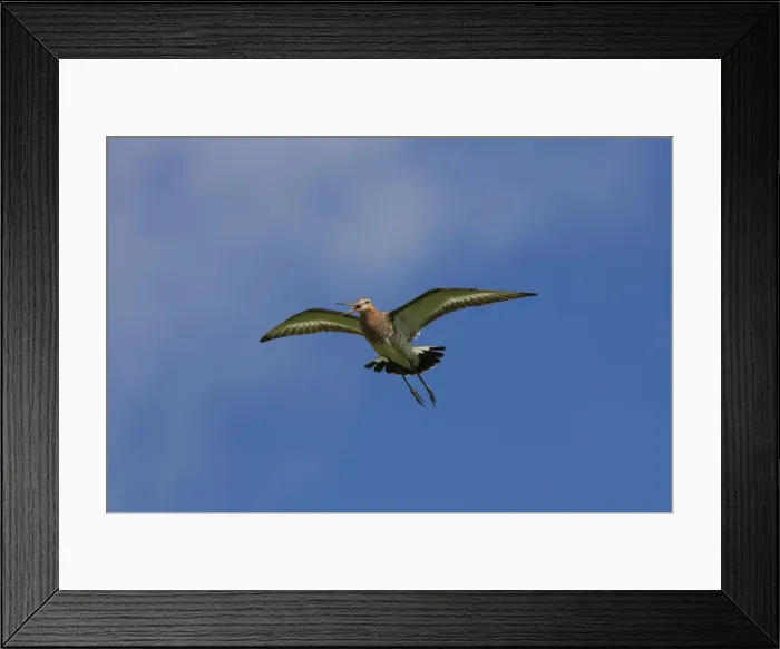 Framed Print : Picture No. 12010788 Framed Print : Picture No. 12010788