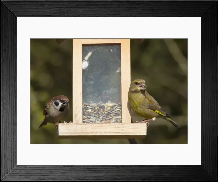 Framed Print : Picture No. 12010795 Framed Print : Picture No. 12010795