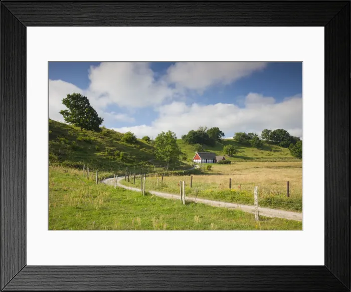 Framed Print : Picture No. 12010794 Framed Print : Picture No. 12010794