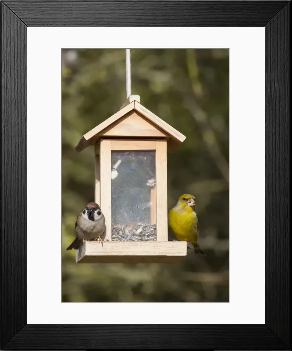 Framed Print : Picture No. 12010796 Framed Print : Picture No. 12010796