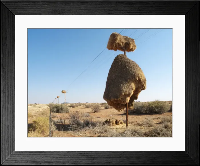 Framed Print : Picture No. 12009372 Framed Print : Picture No. 12009372