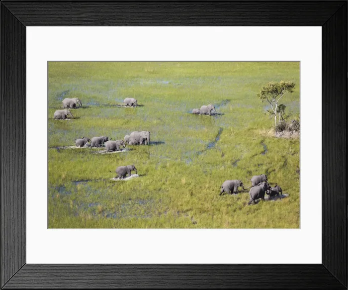 Framed Print : Picture No. 12009392 Framed Print : Picture No. 12009392