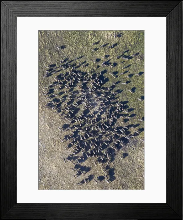 Framed Print : Picture No. 12009395 Framed Print : Picture No. 12009395