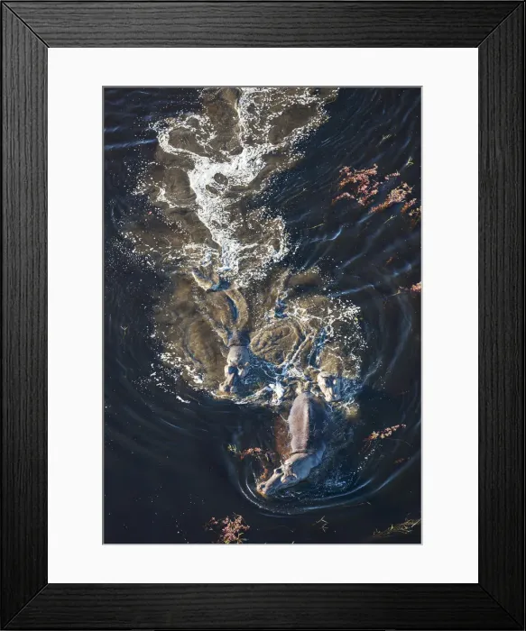 Framed Print : Picture No. 12009397 Framed Print : Picture No. 12009397