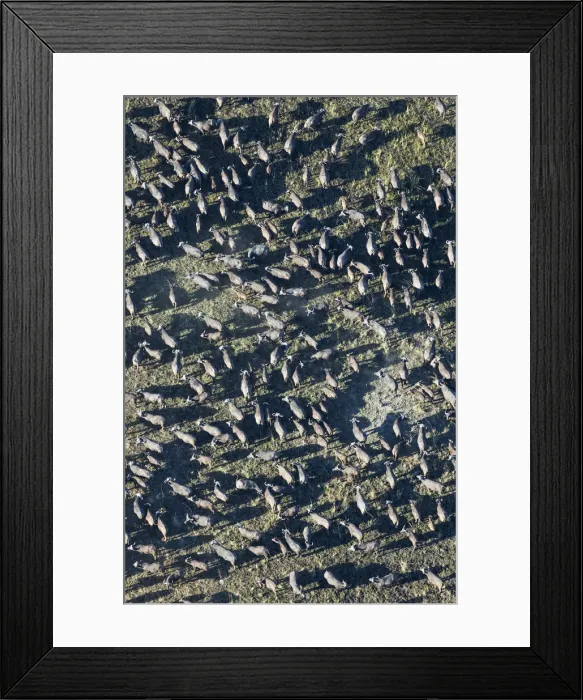 Framed Print : Picture No. 12009396 Framed Print : Picture No. 12009396