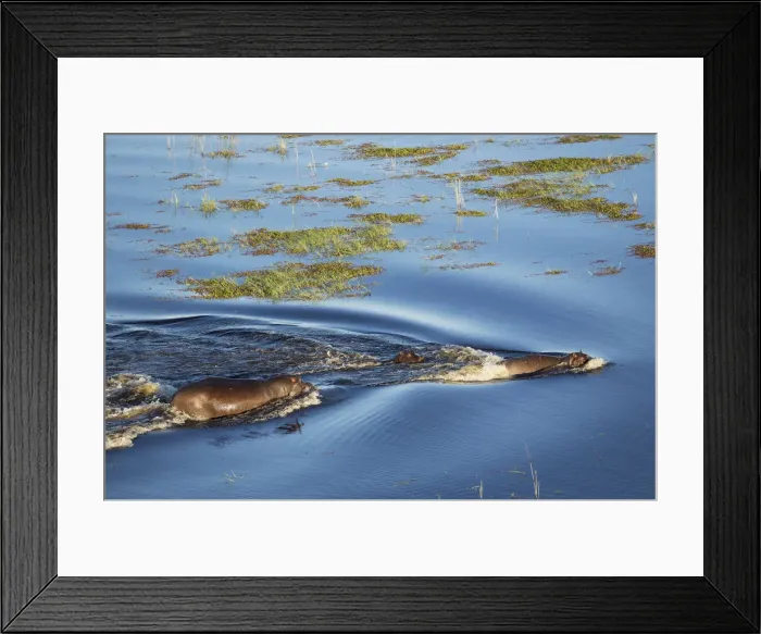 Framed Print : Picture No. 12009398 Framed Print : Picture No. 12009398