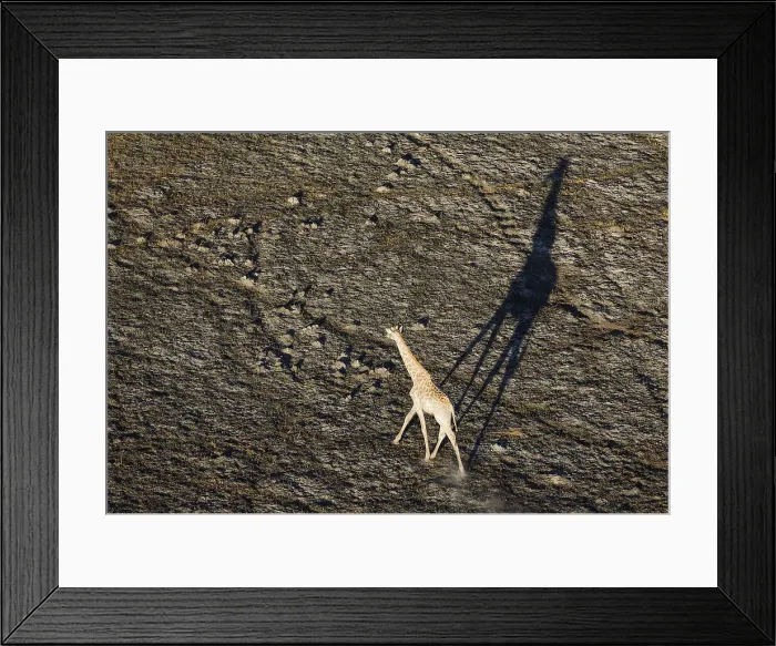 Framed Print : Picture No. 12009400 Framed Print : Picture No. 12009400