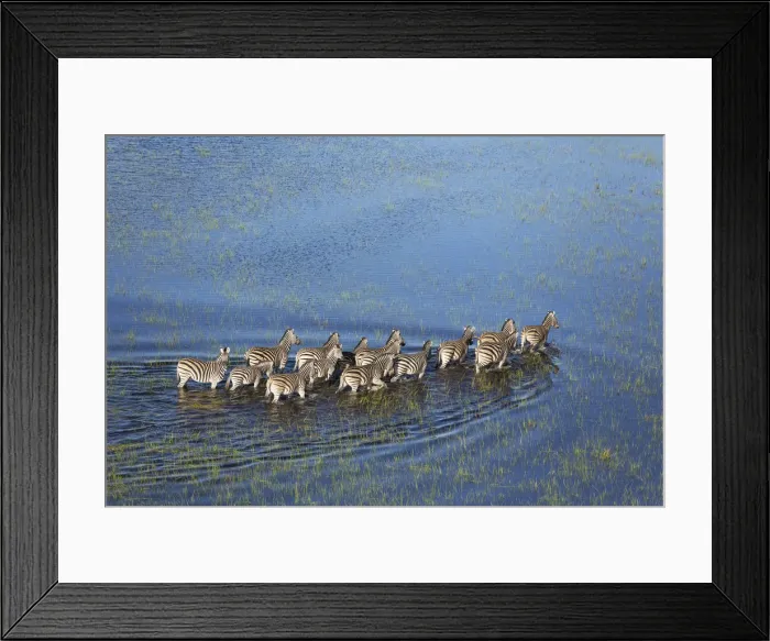 Framed Print : Picture No. 12009402 Framed Print : Picture No. 12009402