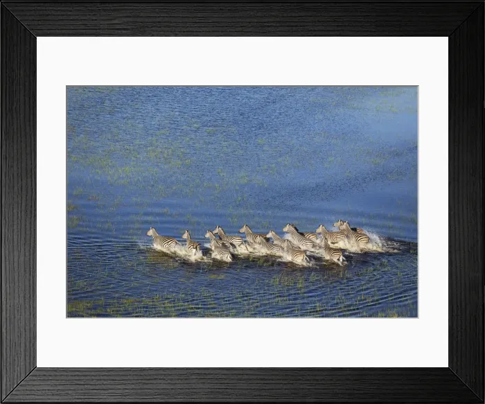 Framed Print : Picture No. 12009403 Framed Print : Picture No. 12009403