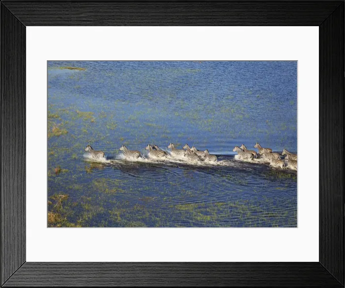 Framed Print : Picture No. 12009404 Framed Print : Picture No. 12009404