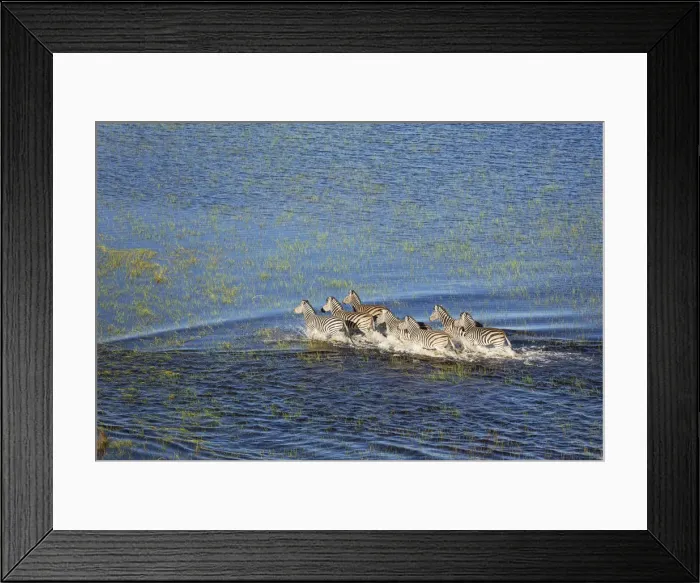 Framed Print : Picture No. 12009405 Framed Print : Picture No. 12009405