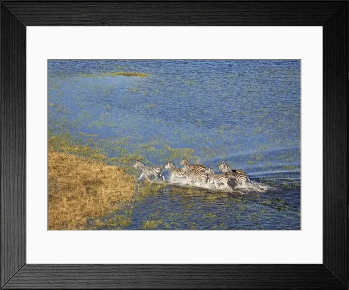 Framed Print : Picture No. 12009406 Framed Print : Picture No. 12009406