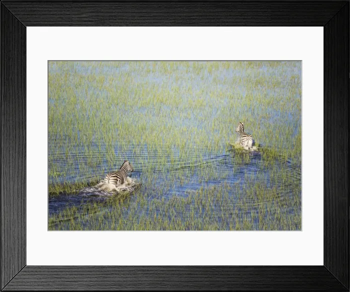 Framed Print : Picture No. 12009407 Framed Print : Picture No. 12009407