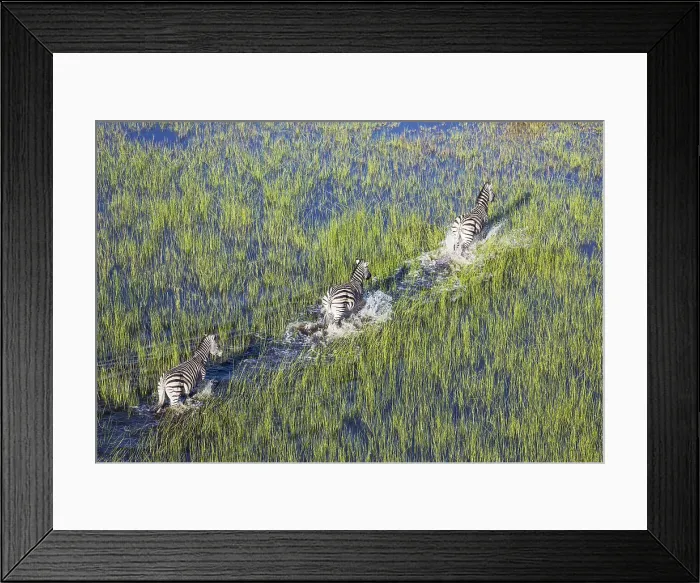 Framed Print : Picture No. 12009408 Framed Print : Picture No. 12009408