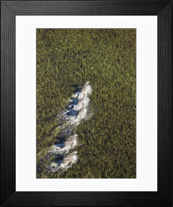 Framed Print : Picture No. 12009409 Framed Print : Picture No. 12009409