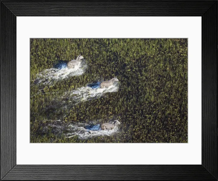 Framed Print : Picture No. 12009410 Framed Print : Picture No. 12009410