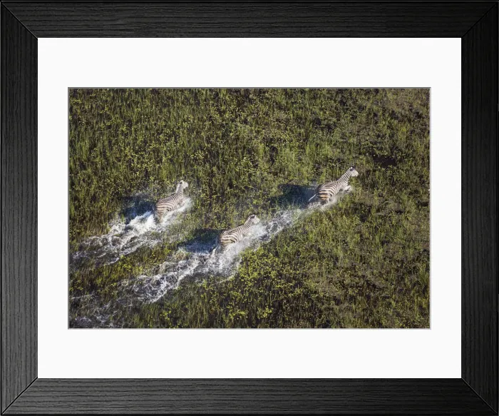 Framed Print : Picture No. 12009411 Framed Print : Picture No. 12009411
