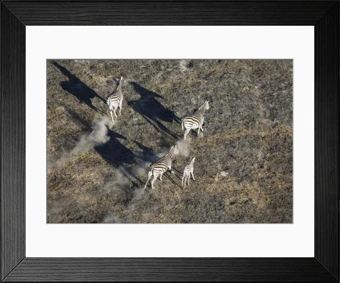 Framed Print : Picture No. 12009412 Framed Print : Picture No. 12009412