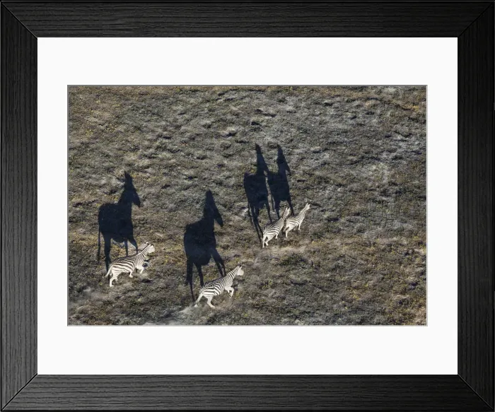 Framed Print : Picture No. 12009413 Framed Print : Picture No. 12009413