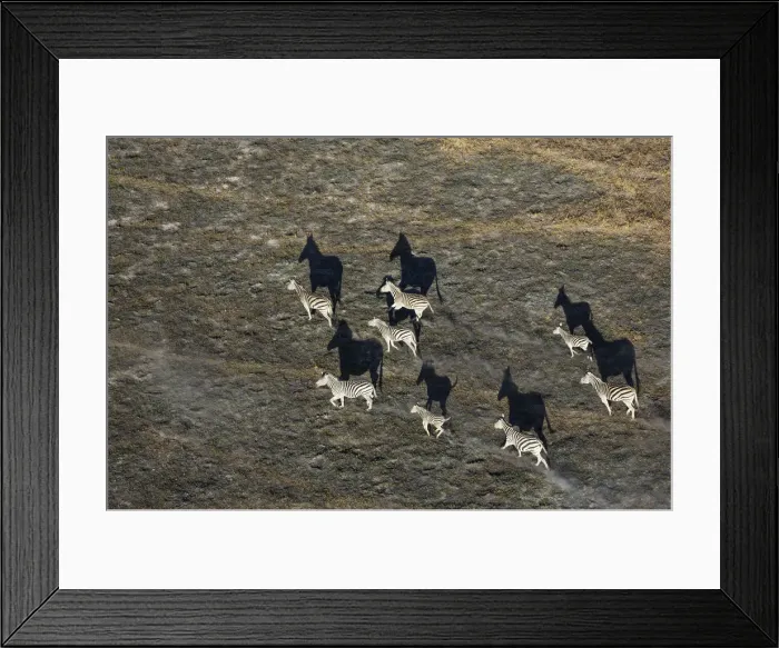 Framed Print : Picture No. 12009414 Framed Print : Picture No. 12009414