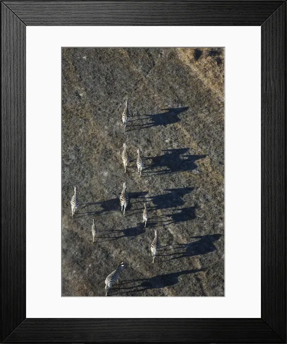 Framed Print : Picture No. 12009415 Framed Print : Picture No. 12009415